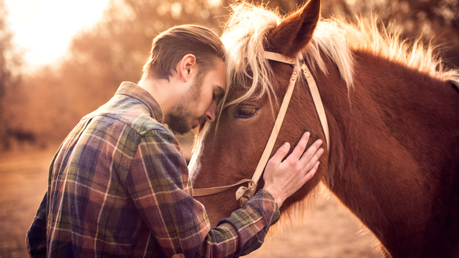 Men horse video. Парень на лошади. Фотосессия с лошадьми. Человек обнимает лошадь. Парень и конь.